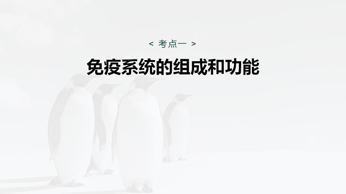 17828029第4页