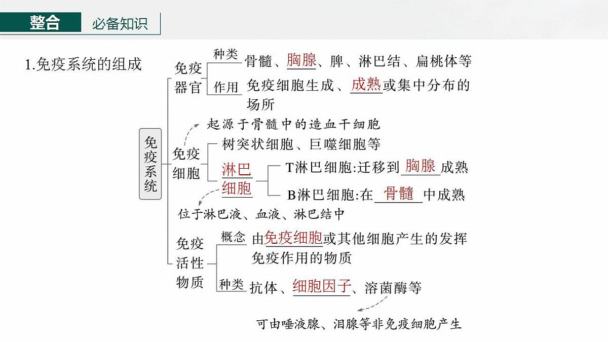 17828029第5页