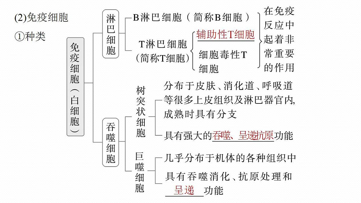 17828029第7页