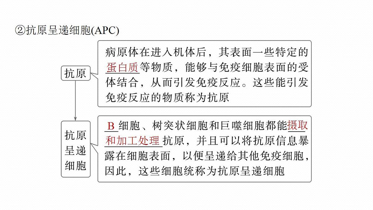 17828029第8页