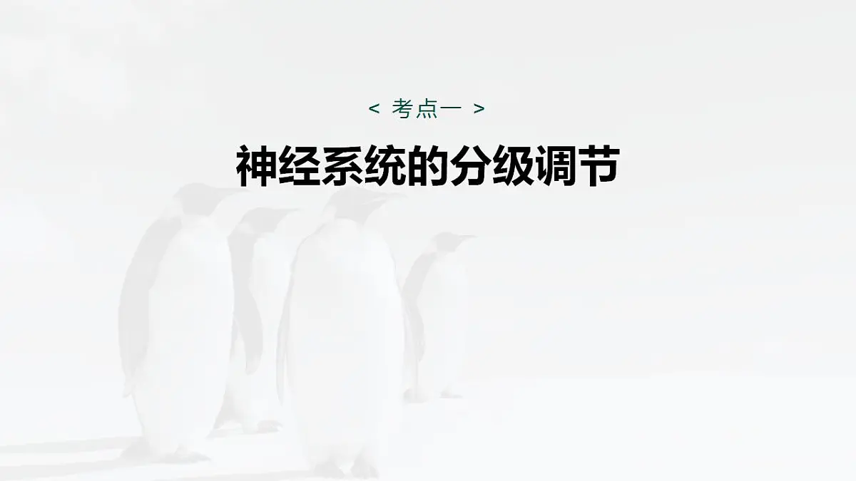 17828127第4页