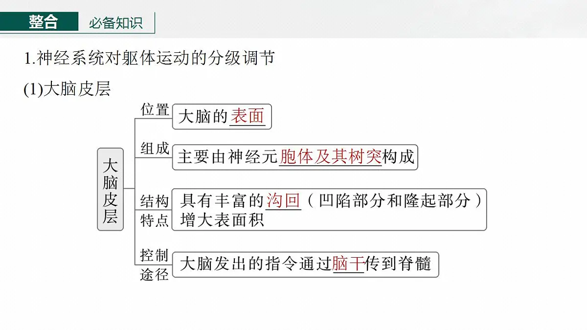 17828127第5页