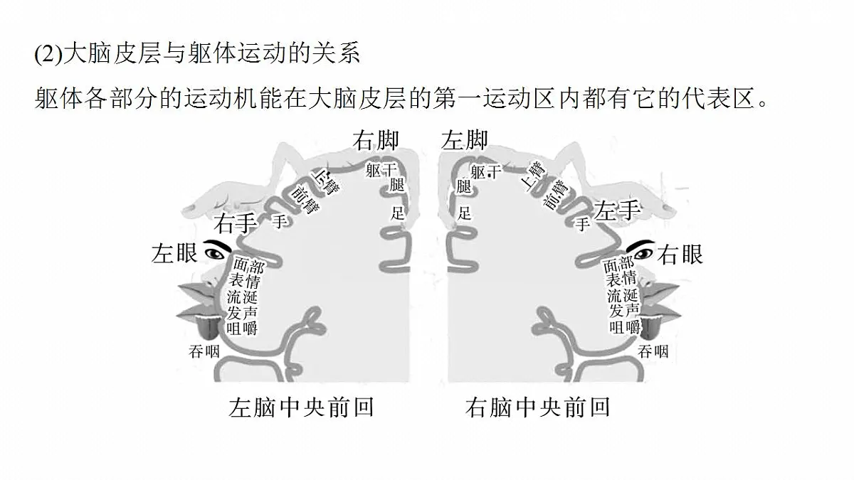 17828127第6页