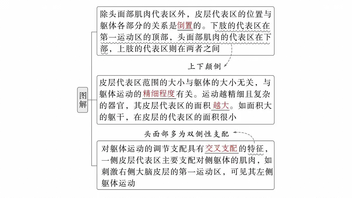17828127第7页