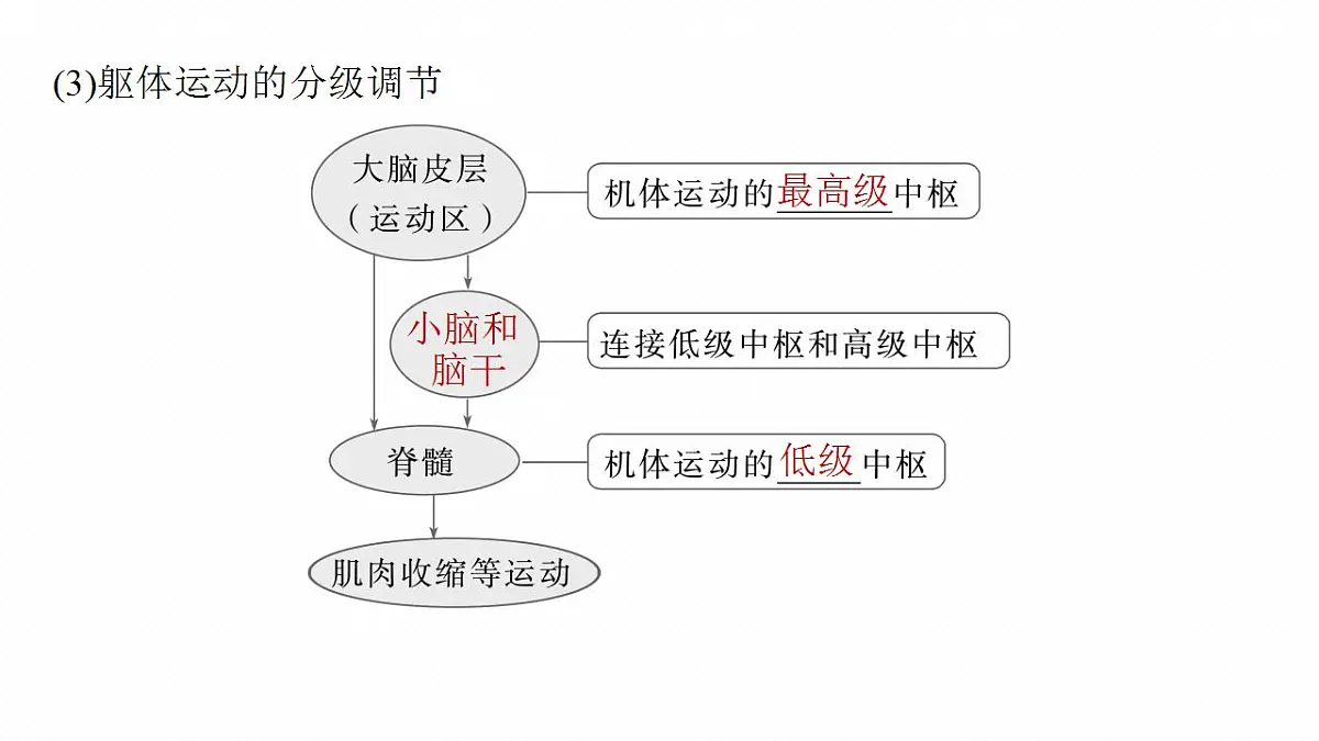 17828127第8页