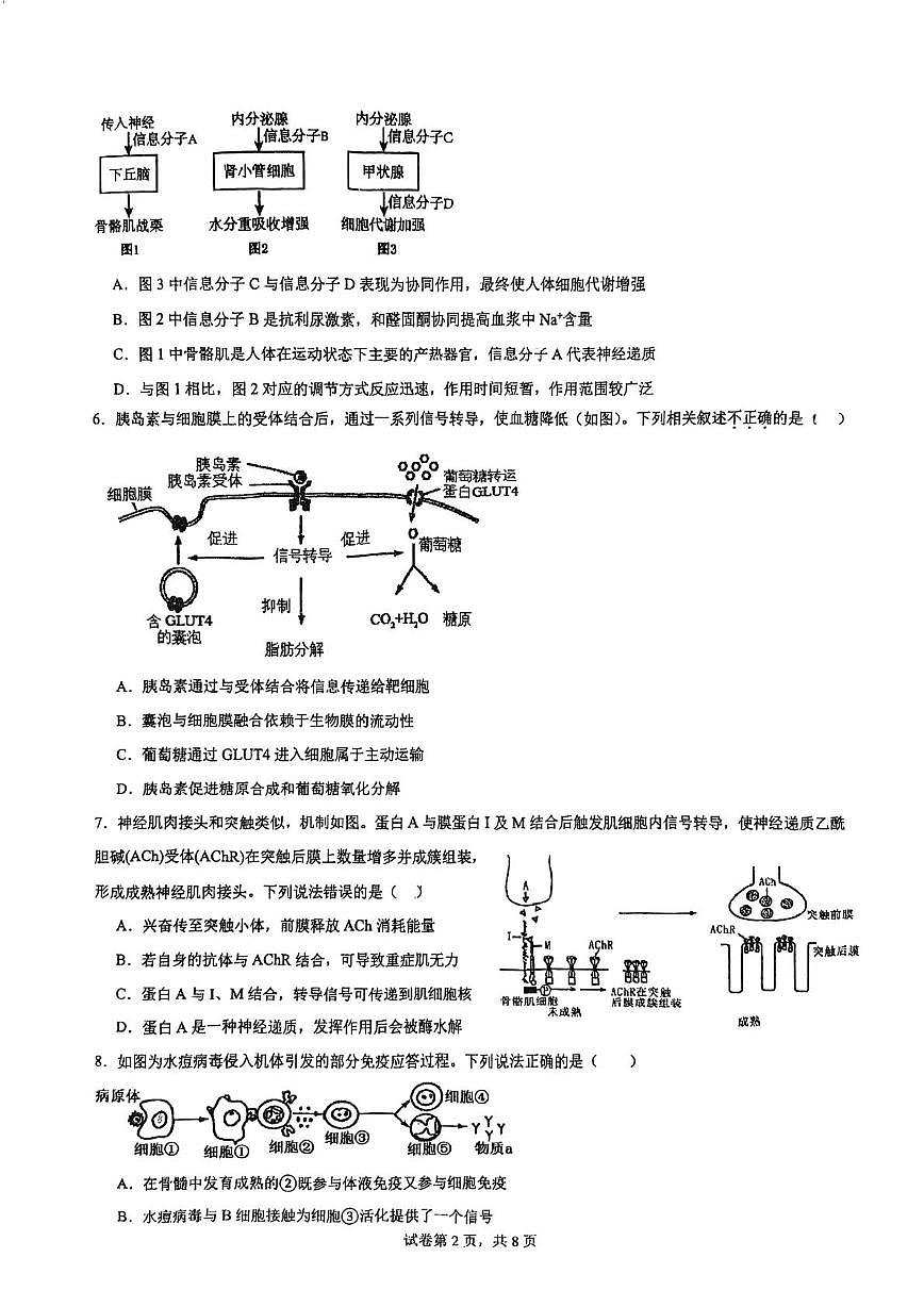 天津市津南区海河教育园区南开学校2025-2026学年高二上学期第二次月考生物试卷(月考)第2页