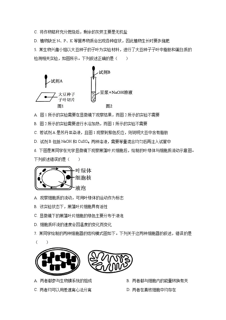 2025-2026学年辽宁省葫芦岛市县协作校高一上学期第二次月考考试生物试卷(学生版)第2页