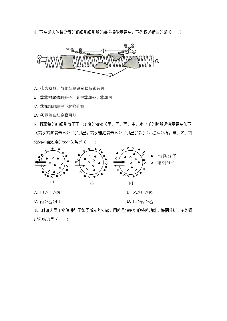 2025-2026学年辽宁省葫芦岛市县协作校高一上学期第二次月考考试生物试卷(学生版)第3页