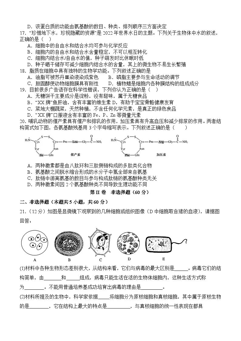 四川省泸州市泸县第五中学2024-2025学年高一上学期10月月考生物试题(无答案)第3页