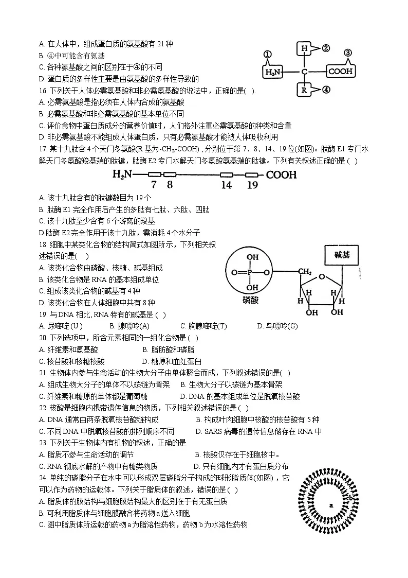 黑龙江省大庆市实验中学2024-2025学年高一上学期10月阶段考试生物试卷(无答案)第3页