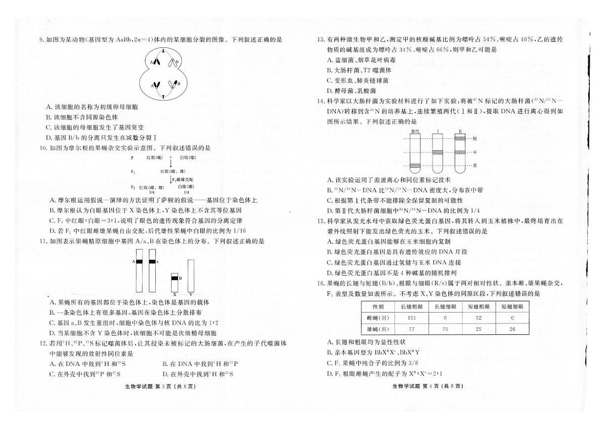 云南省衡水金卷2025年高一年级下学期学业水平检测试卷生物试卷(无答案)第2页