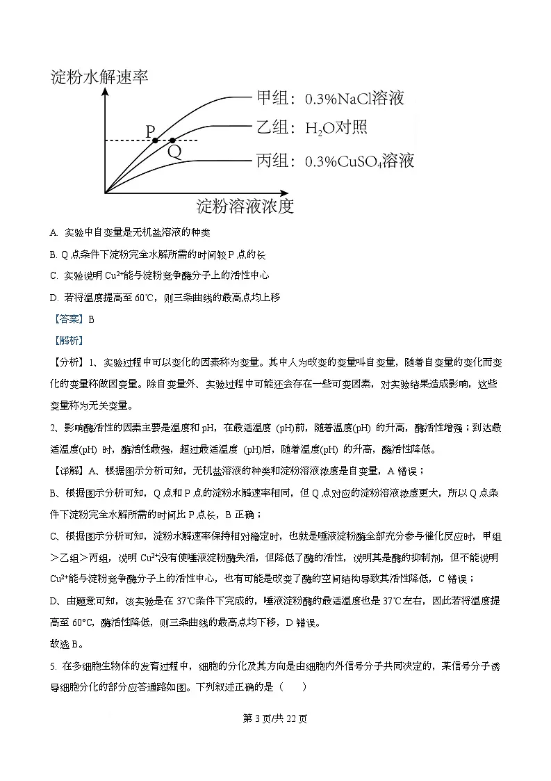 重庆市第一中学校2025-2026学年高三上学期周考5生物试题 Word版含解析第3页