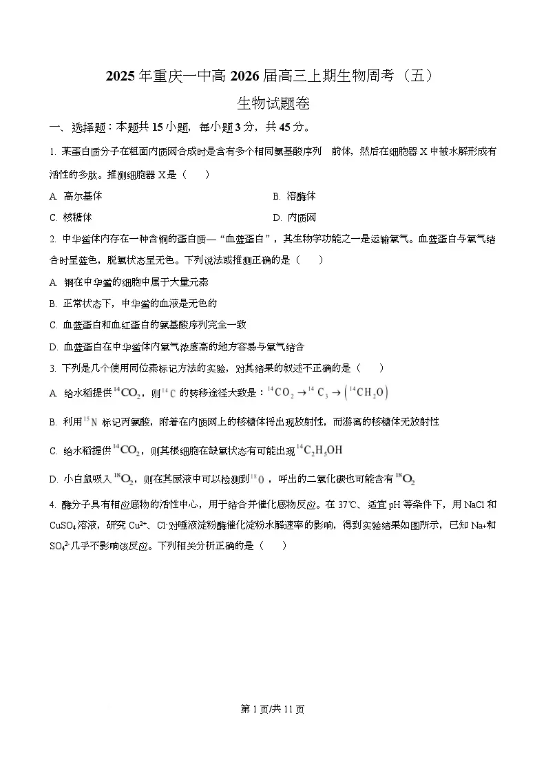 重庆市第一中学校2025-2026学年高三上学期周考5生物试题 Word版无答案第1页
