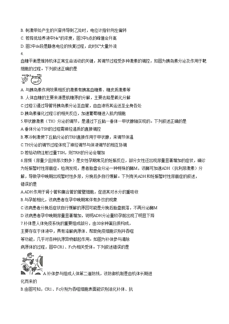 甘肃省天水市联考2025_2026学年高二上学期1月期末生物试题(文字版含答案)第2页