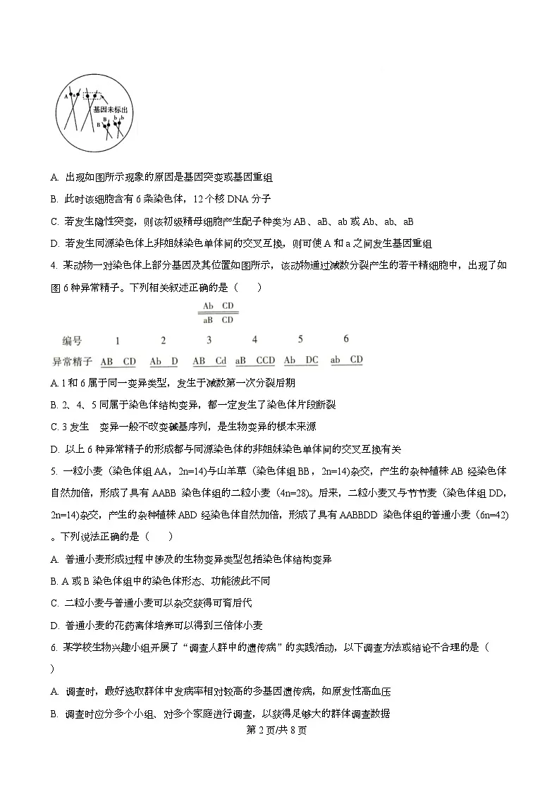 四川省眉山市仁寿县第一中学南校区2025-2026学年高二上学期12月月考生物试题(原卷版)第2页
