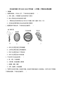 河北省张家口市2025-2026学年高一上学期1月期末生物试卷（含答案）