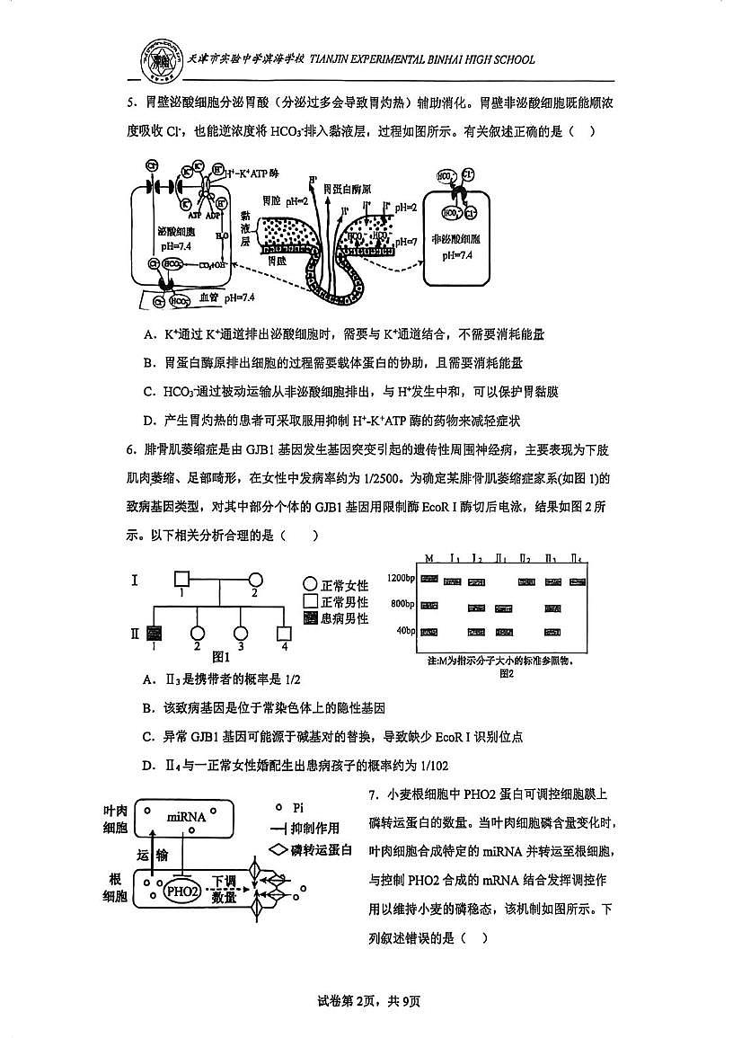 天津市实验中学滨海学校2025—2026学年高三上学期 1月月考生物试卷第2页