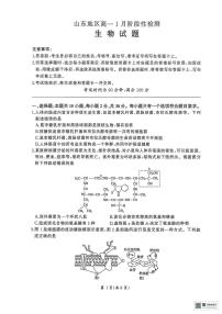 山东省济南市名校联考2025-2026学年高一上学期1月月考生物试题
