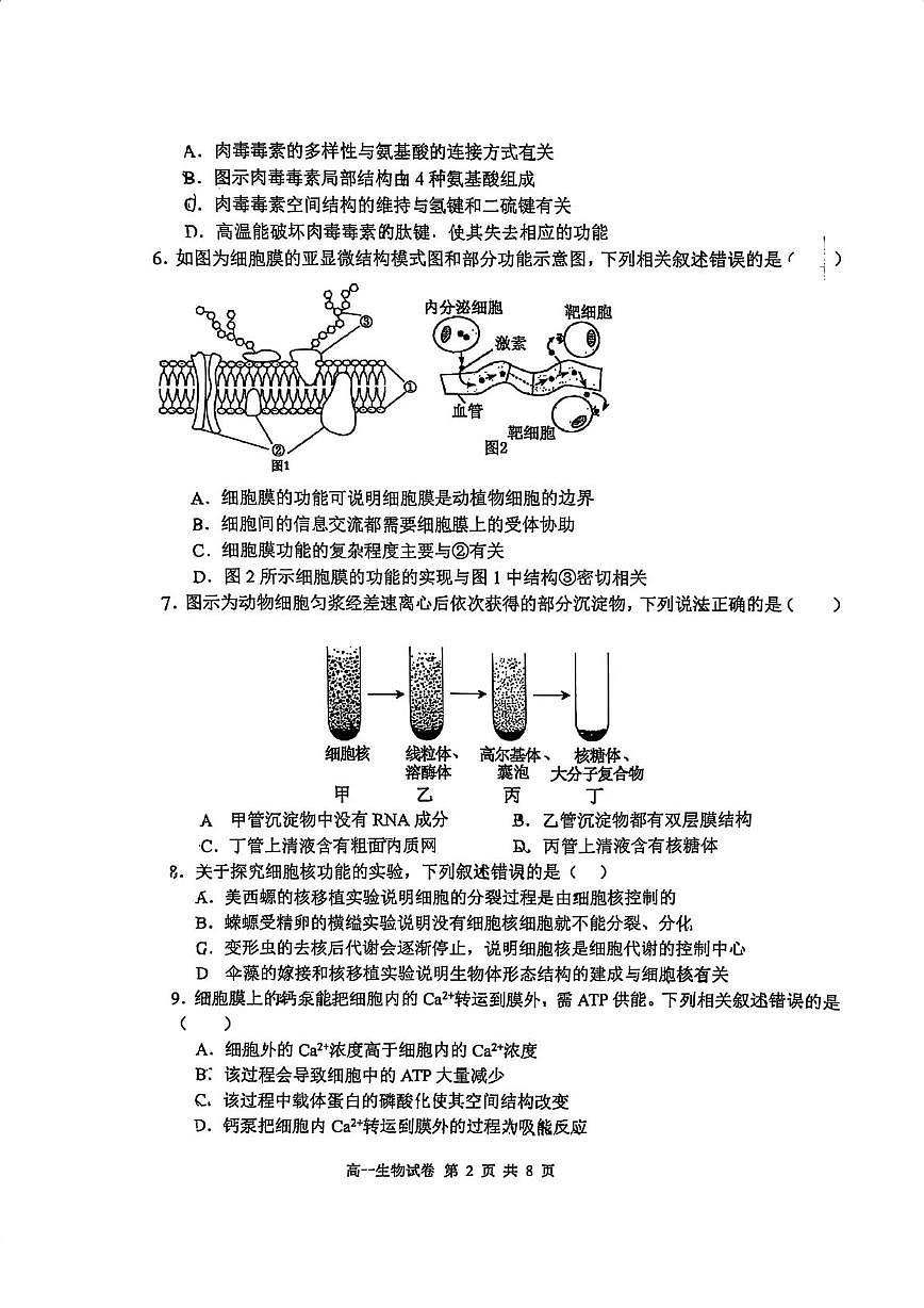 天津市津南区咸水沽第一中学2025-2026学年高一上学期第二次月考生物试卷第2页