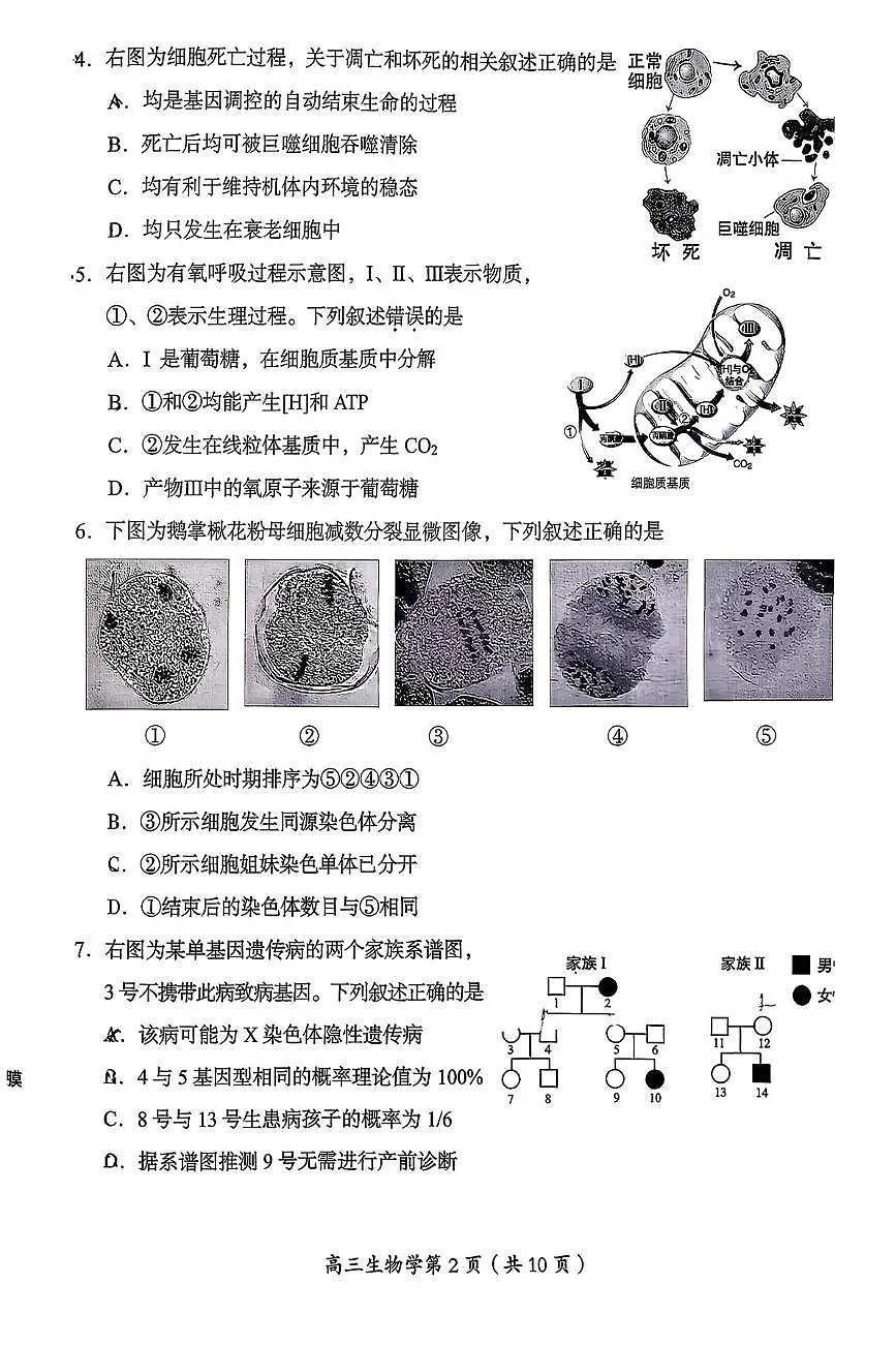 北京市房山区2025-2026学年高三上学期期末生物试题第2页