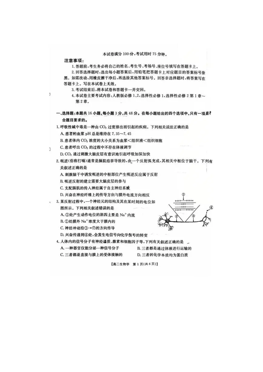 甘肃省嘉峪关市第一中学2025-2026学年高二上学期1月期末生物试题第1页