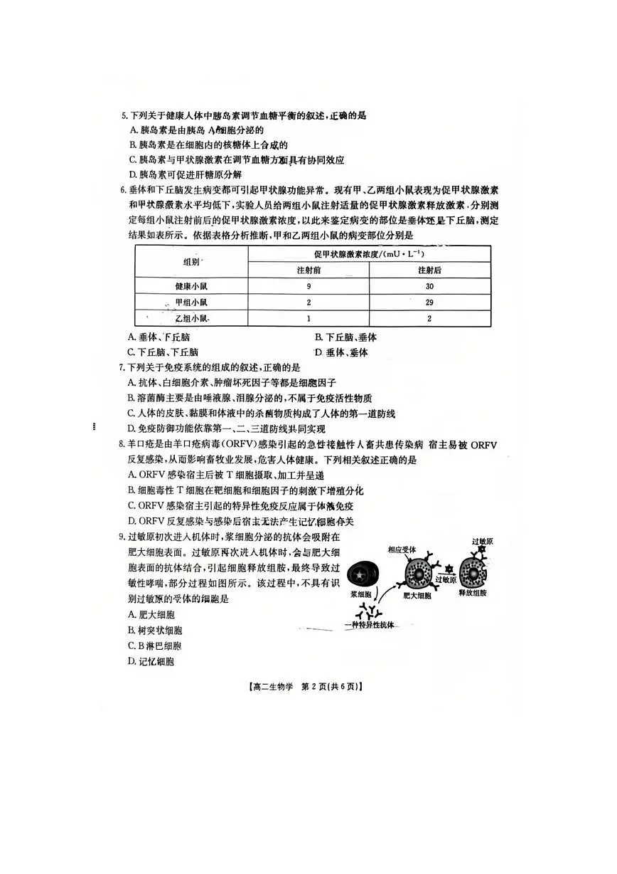 甘肃省嘉峪关市第一中学2025-2026学年高二上学期1月期末生物试题第2页