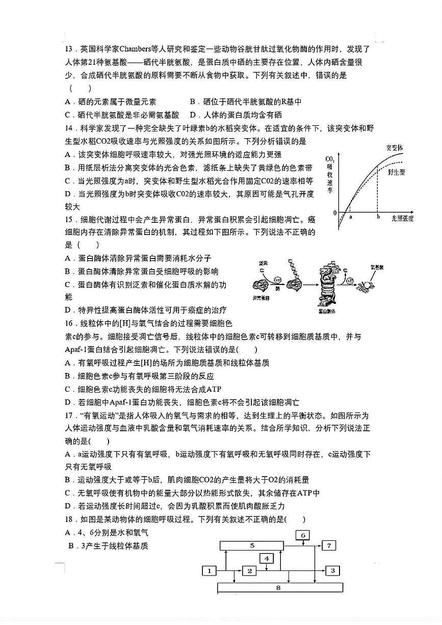 陕西省咸阳市永寿县中学2025-2026学年高一上学期阶段检测生物学试题(月考)第3页