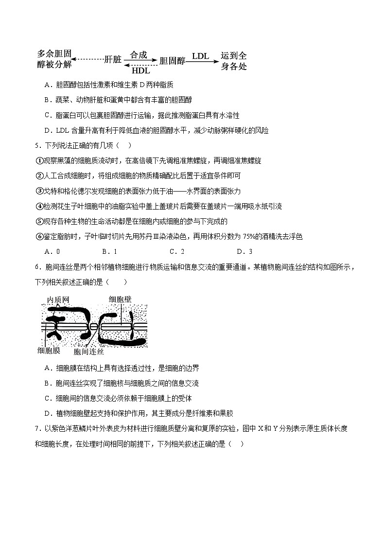 江西省赣州市部分重点高中2025-2026学年高一上学期12月质量检测试题 生物(含答案)第2页