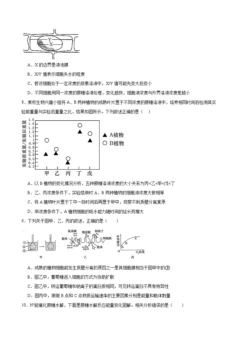 江西省赣州市部分重点高中2025-2026学年高一上学期12月质量检测试题 生物(含答案)第3页