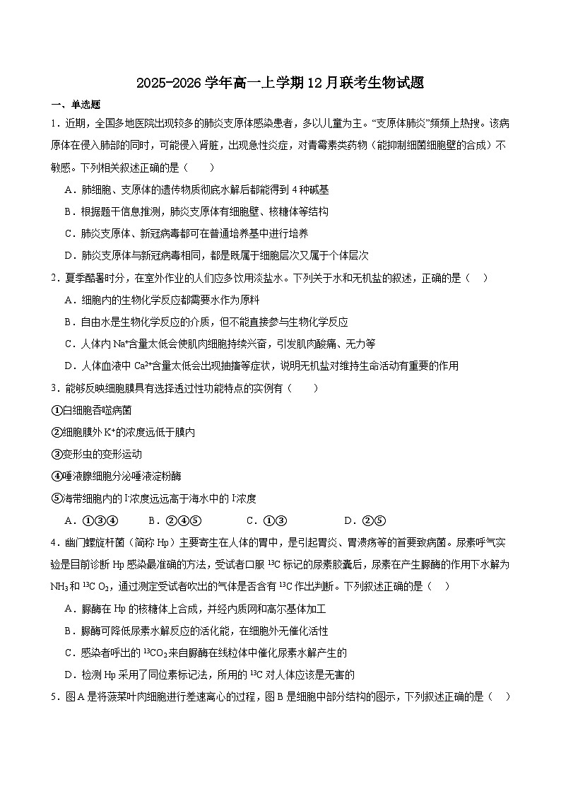 吉林省四所名校2025-2026学年高一上学期12月联考试题 生物(含答案)第1页