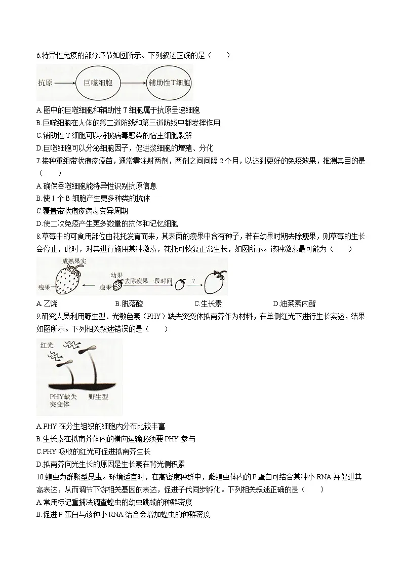 辽宁省抚顺市六校2025-2026学年高二上学期期末联考试卷 生物(含答案)第2页