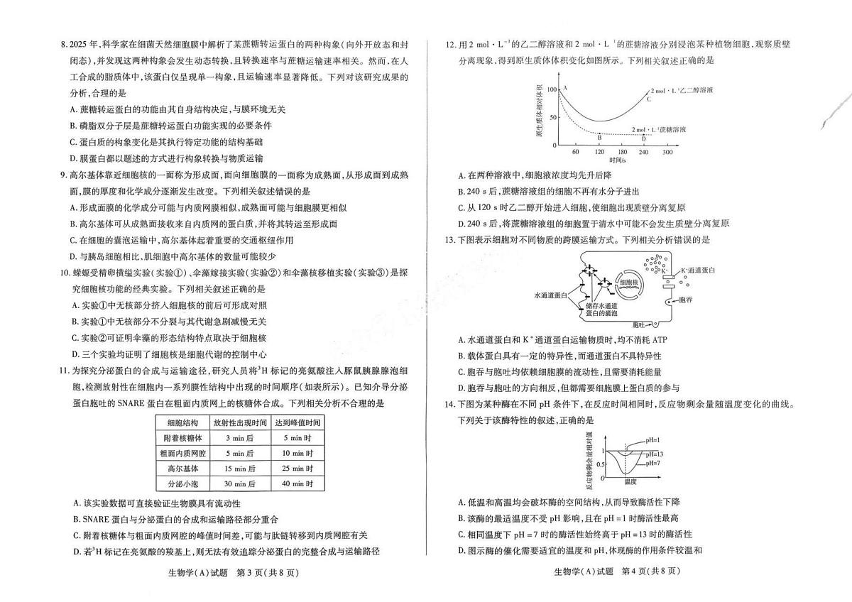 河南省豫北名校2025-2026学年高一上学期1月阶段性测试(二)生物试题(含答案)第2页