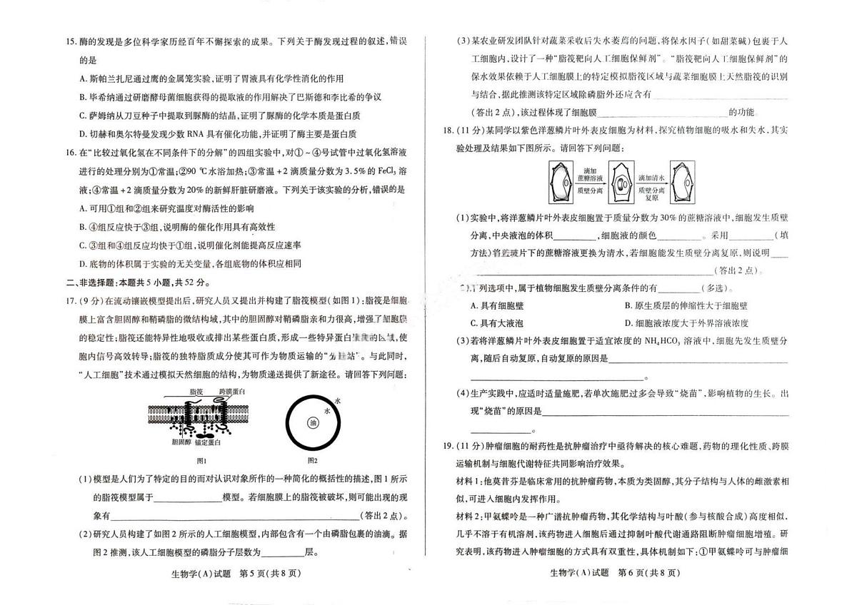 河南省豫北名校2025-2026学年高一上学期1月阶段性测试(二)生物试题(含答案)第3页