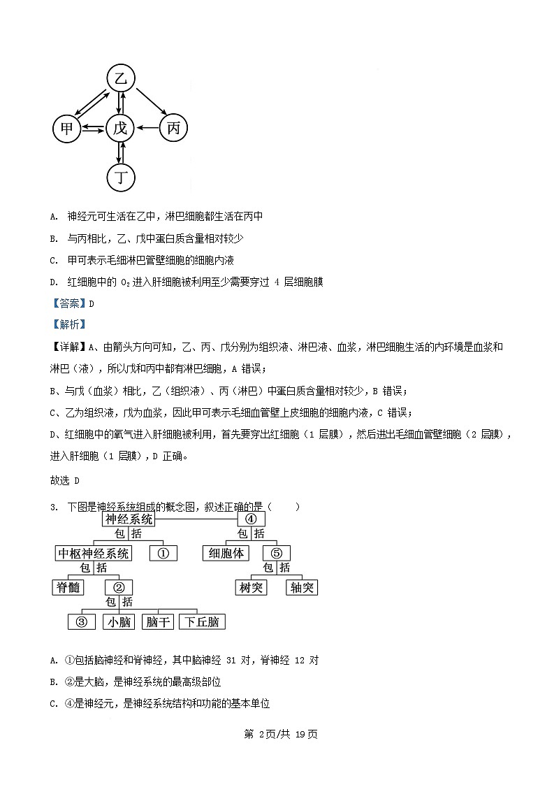 安徽省蚌埠市2025_2026学年高二生物上学期12月月考试题含解析第2页