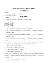 2026届湖北省八校高三上学期期末联考生物试卷（含答案）