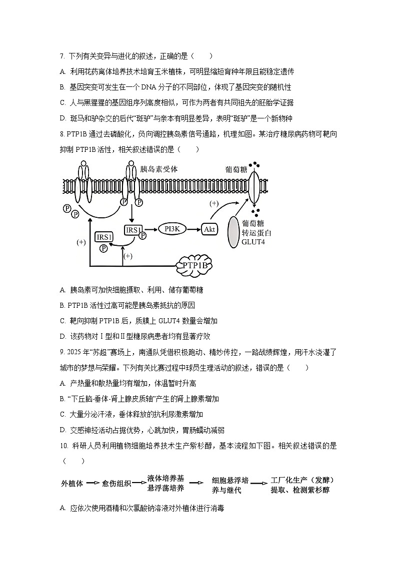 2025-2026学年江苏省南通市高三上学期期中考试生物试卷(学生版)第3页