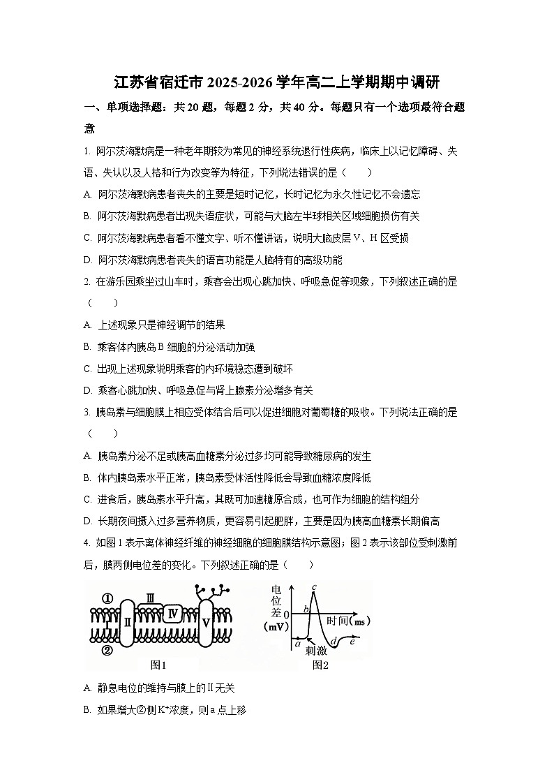 2025-2026学年江苏省宿迁市高二上学期期中调研生物试卷(学生版)第1页