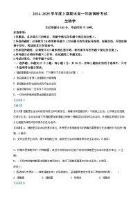 甘肃省张掖市某校2024-2025学年高一上学期期末考试生物试卷(解析版)-A4