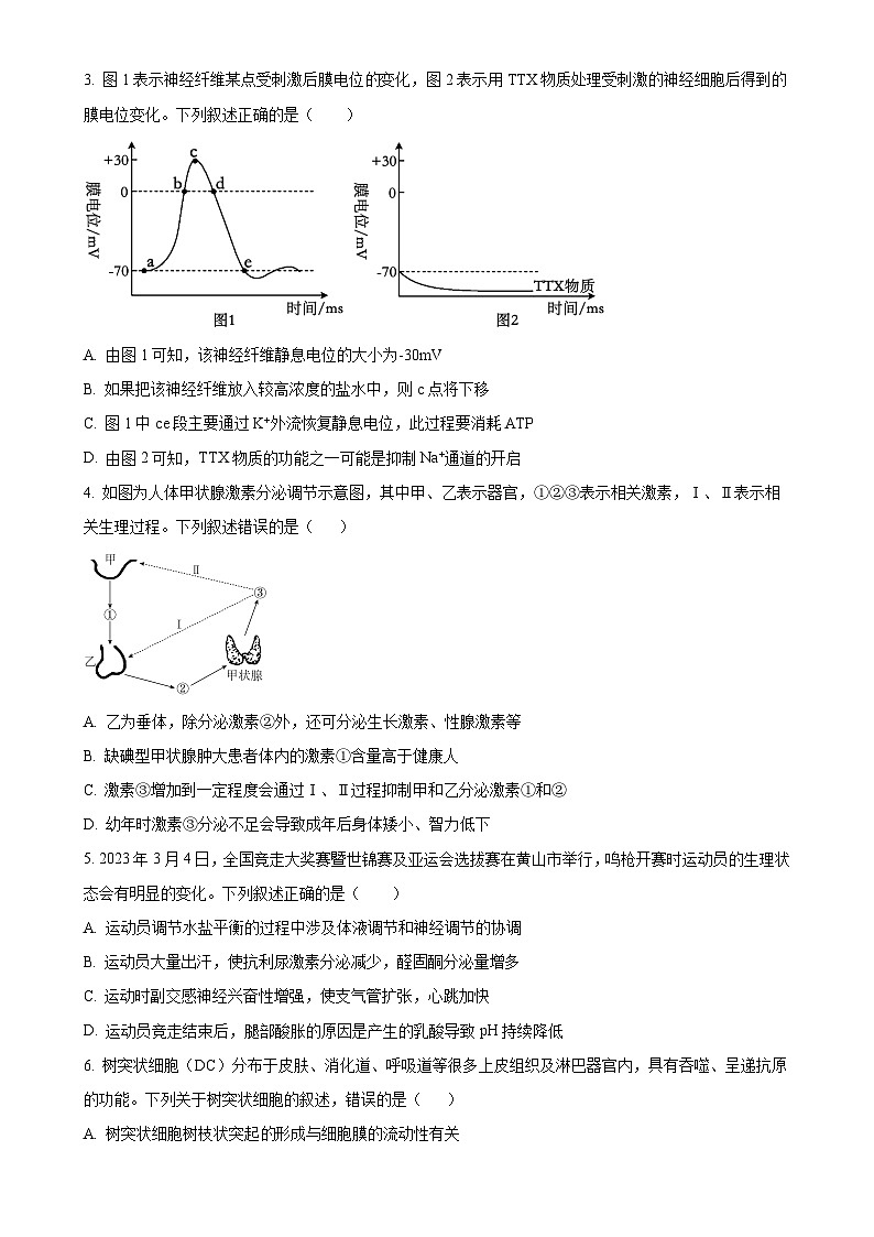 甘肃省多校2024-2025学年高二上学期期末联考生物试卷(原卷版)-A4第2页