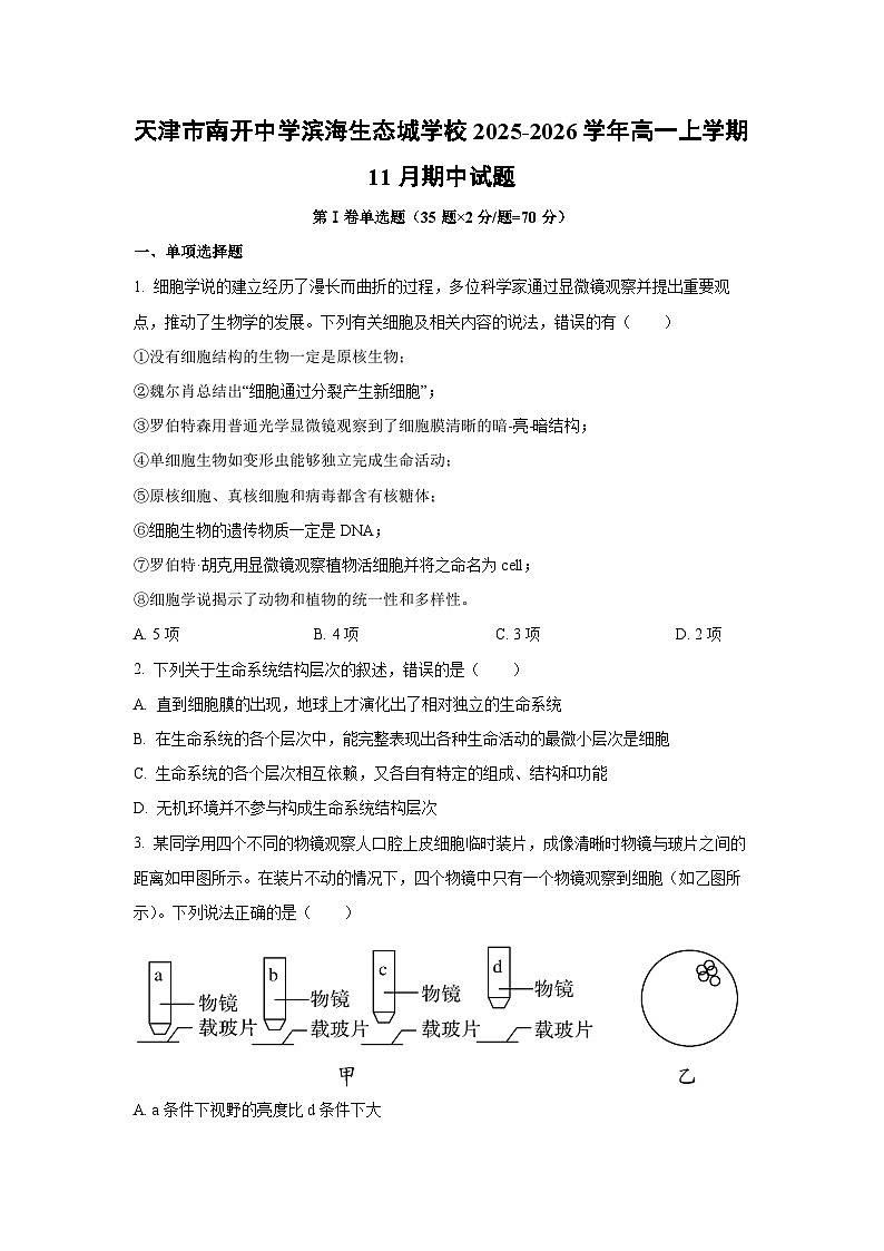 2025-2026学年天津市南开中学滨海生态城学校高一上学期11月期中生物试卷(学生版)第1页