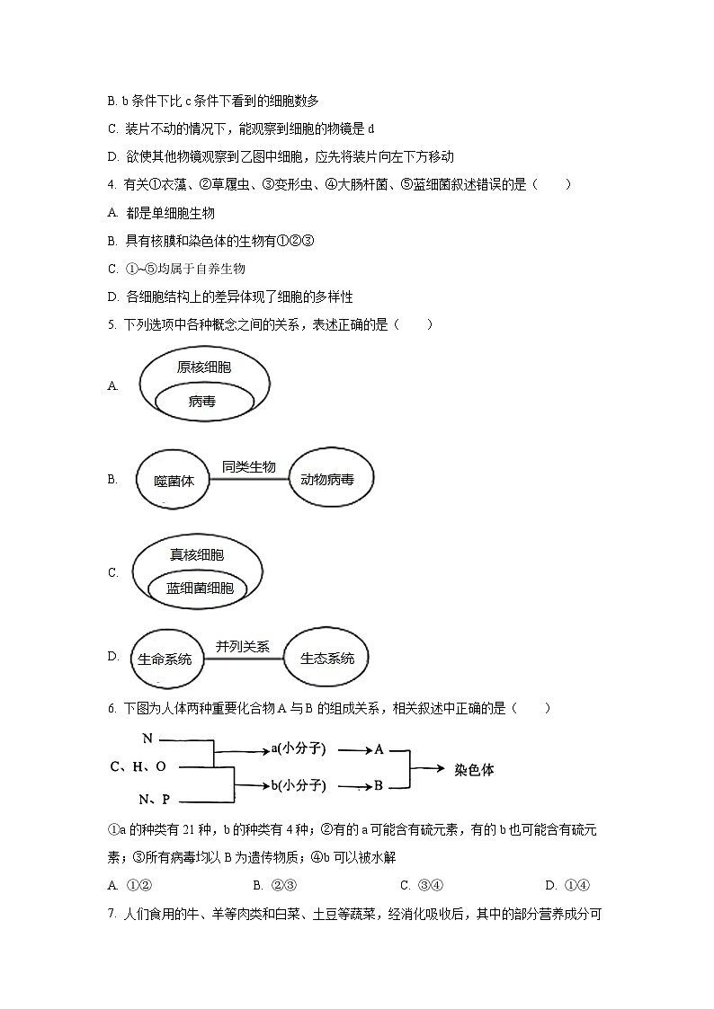 2025-2026学年天津市南开中学滨海生态城学校高一上学期11月期中生物试卷(学生版)第2页