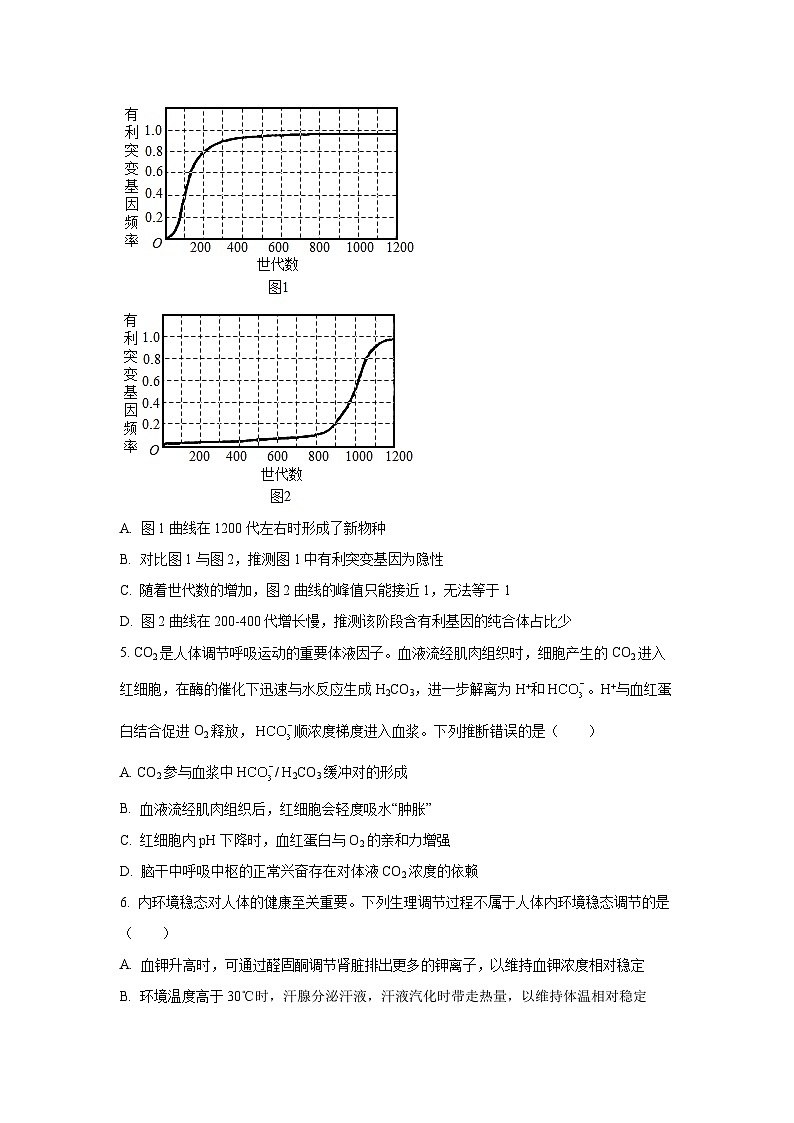 2025-2026学年安徽省芜湖市高二上学期11月期中生物试卷(学生版)第2页