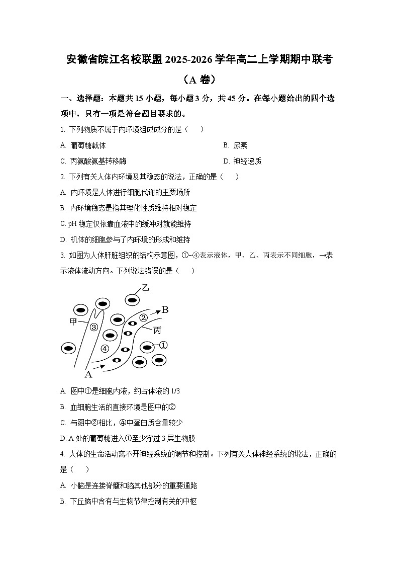 2025-2026学年安徽省皖江名校联盟高二上学期期中联考(A卷)生物试卷(学生版)第1页