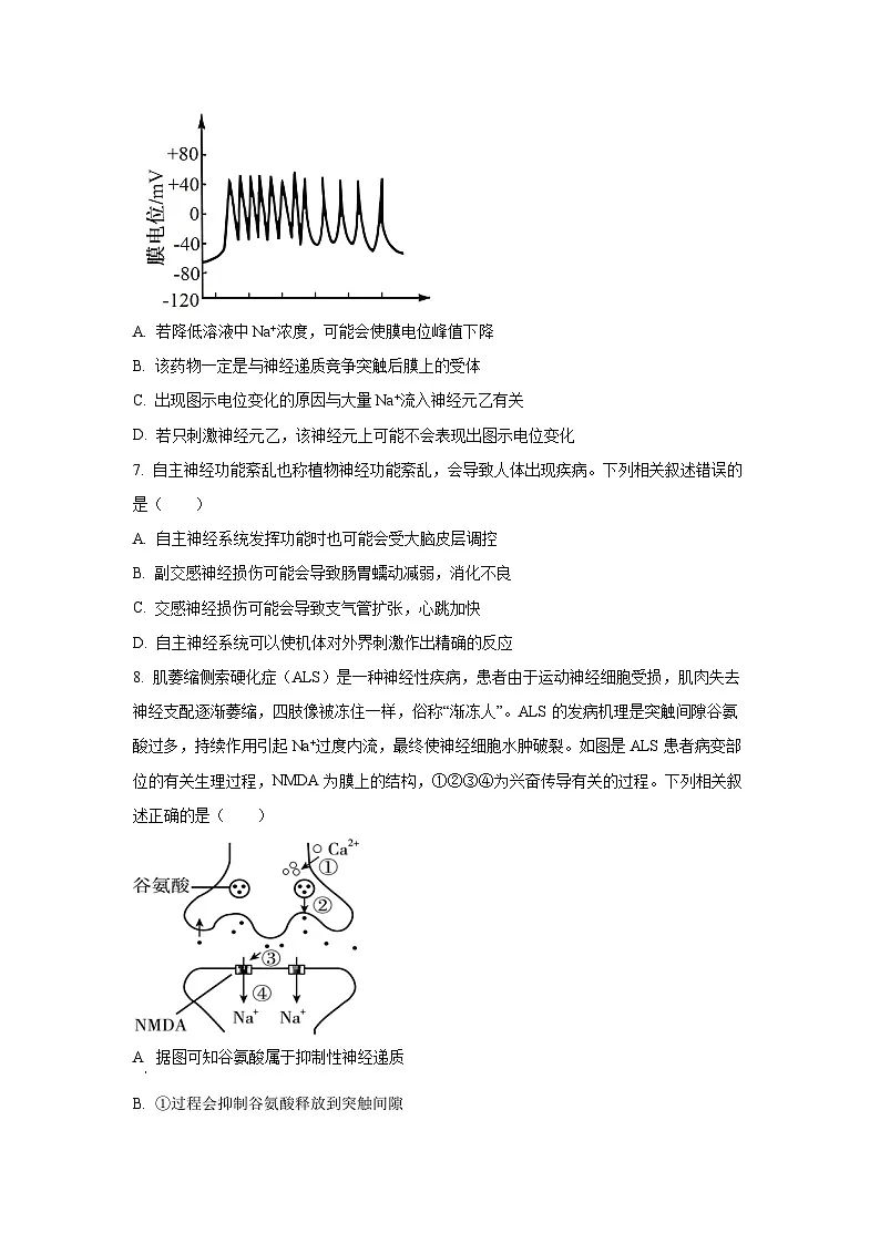 2025-2026学年安徽省江淮名校高二上学期阶段(月考)联考生物试卷(学生版)第3页