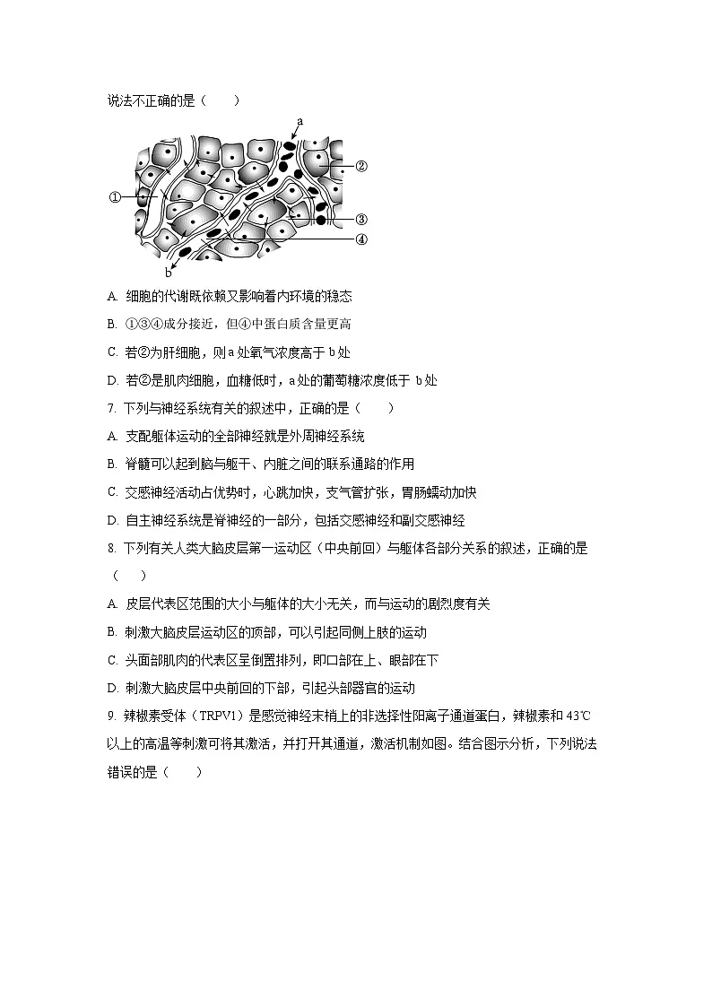 2025-2026学年天津市红桥区高二上学期11月期中生物试卷(学生版)第2页