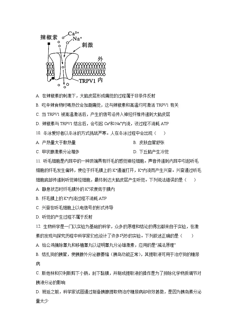 2025-2026学年天津市红桥区高二上学期11月期中生物试卷(学生版)第3页
