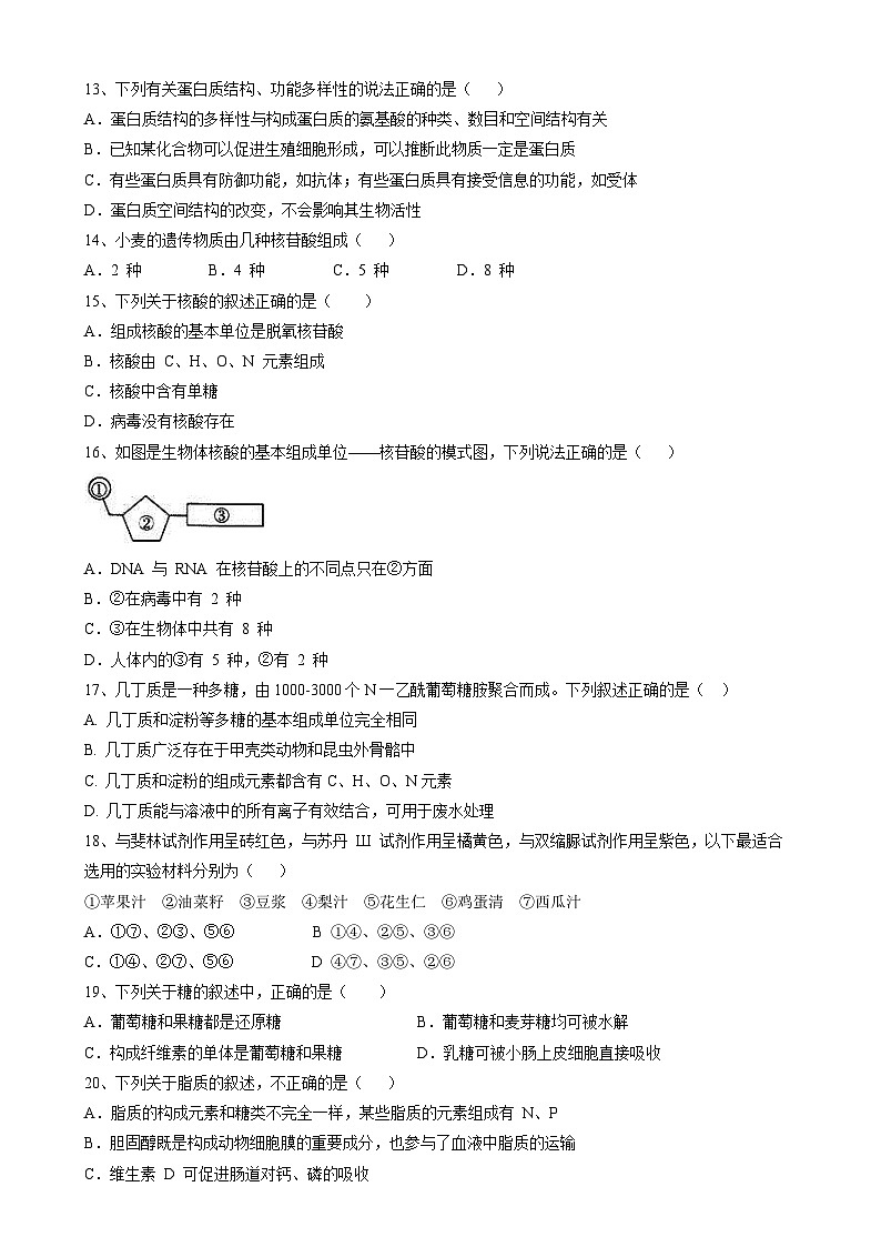 2025-2026学年四川省眉山中学高一第一学期11月月考生物试卷(学生版)第3页