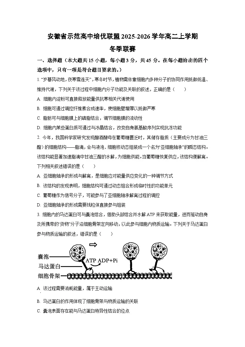 2025-2026学年安徽省示范高中培优联盟高二上学期冬季联赛生物试卷(学生版)第1页