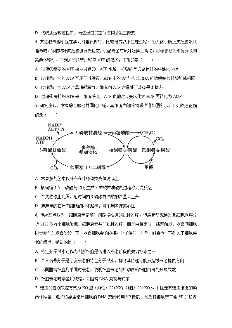 2025-2026学年安徽省示范高中培优联盟高二上学期冬季联赛生物试卷(学生版)第2页