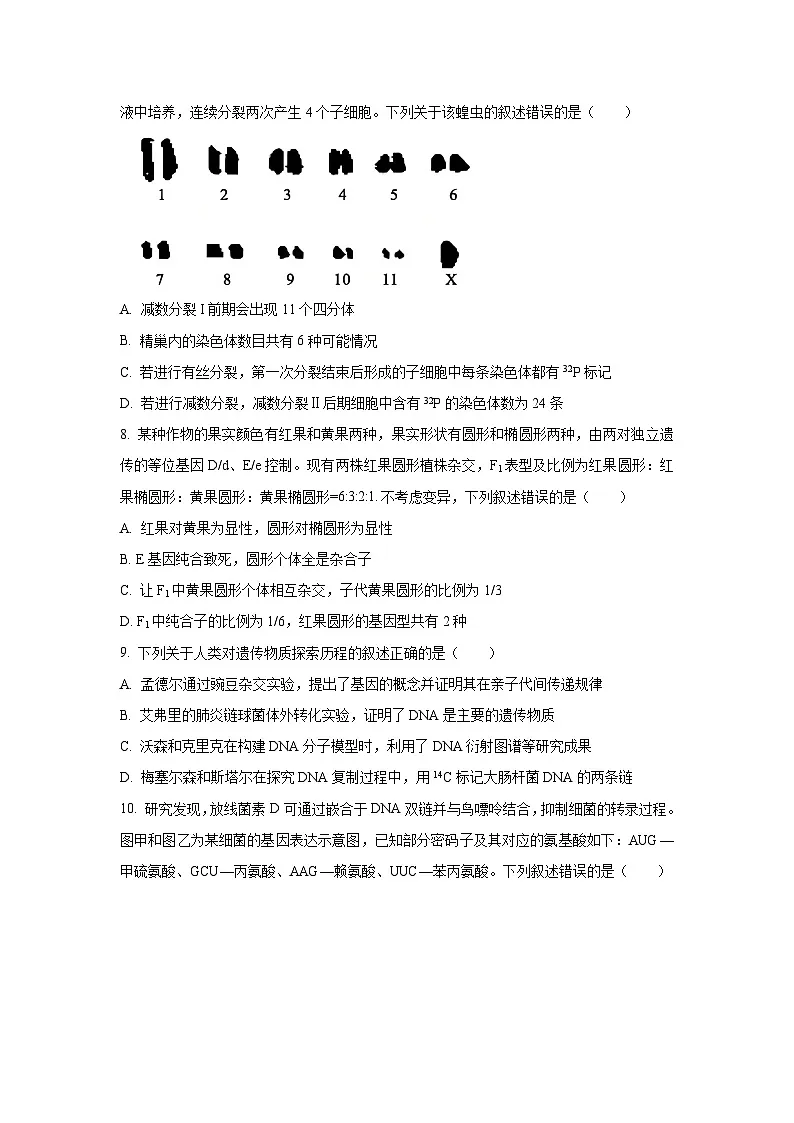 2025-2026学年安徽省示范高中培优联盟高二上学期冬季联赛生物试卷(学生版)第3页